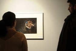 EXPO FOTOS 4 Elementos 3