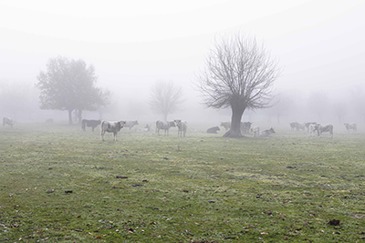 destacada Exposición fotográfica Todo lo que cambia (1)