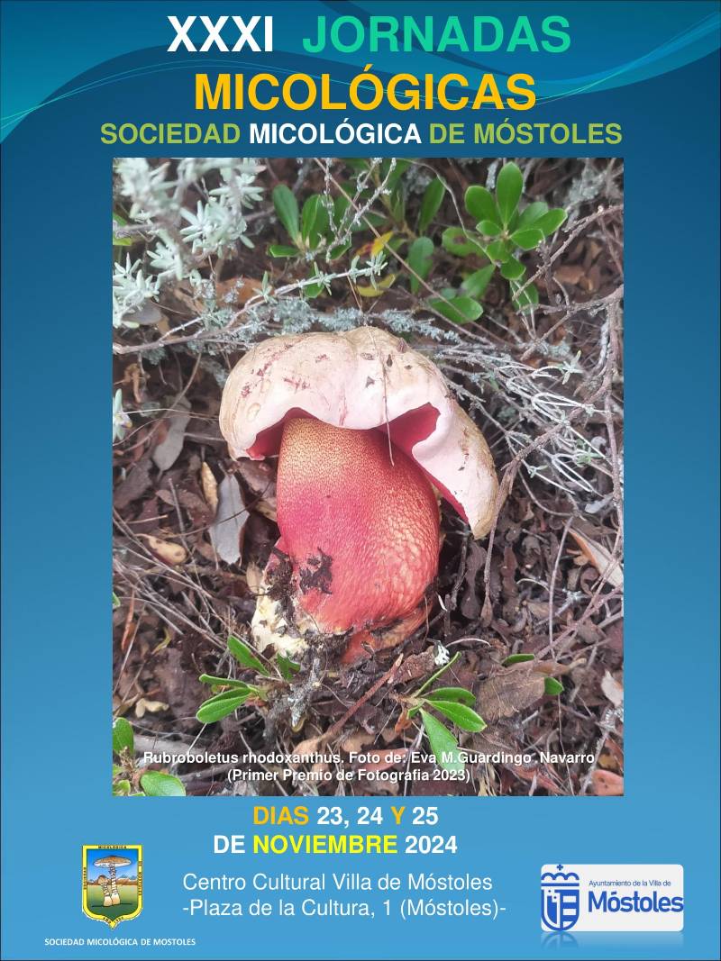 CARTEL DE LAS XXXI JORNADAS ok-1