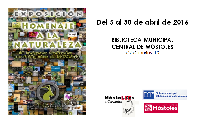 EXPOSICIÓN -HOMENAJE A LA NATURALEZA