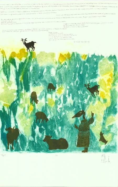 FOTO EXPOS. VULNERABLES_Fernanda Staude