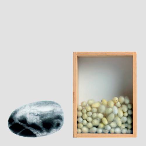 Foto Expo Norte-Universidad-diciembrse 2019