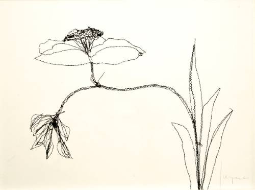 FOTO 2 EXPO_SIN PERDER EL HILO_VILLA