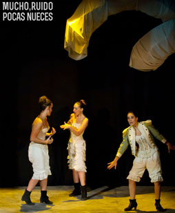 MUCHO RUIDO Y POCAS NUECES WEB