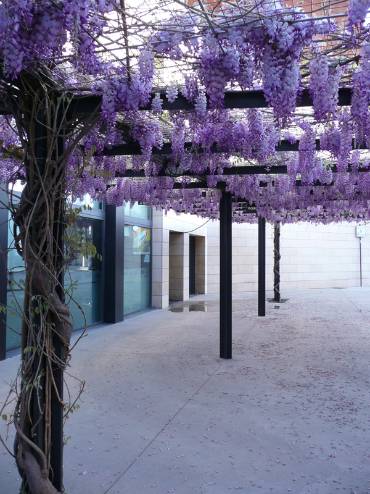 Teatro del Bosque .JPG