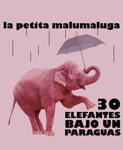 30 elefantes bajo un paraguas