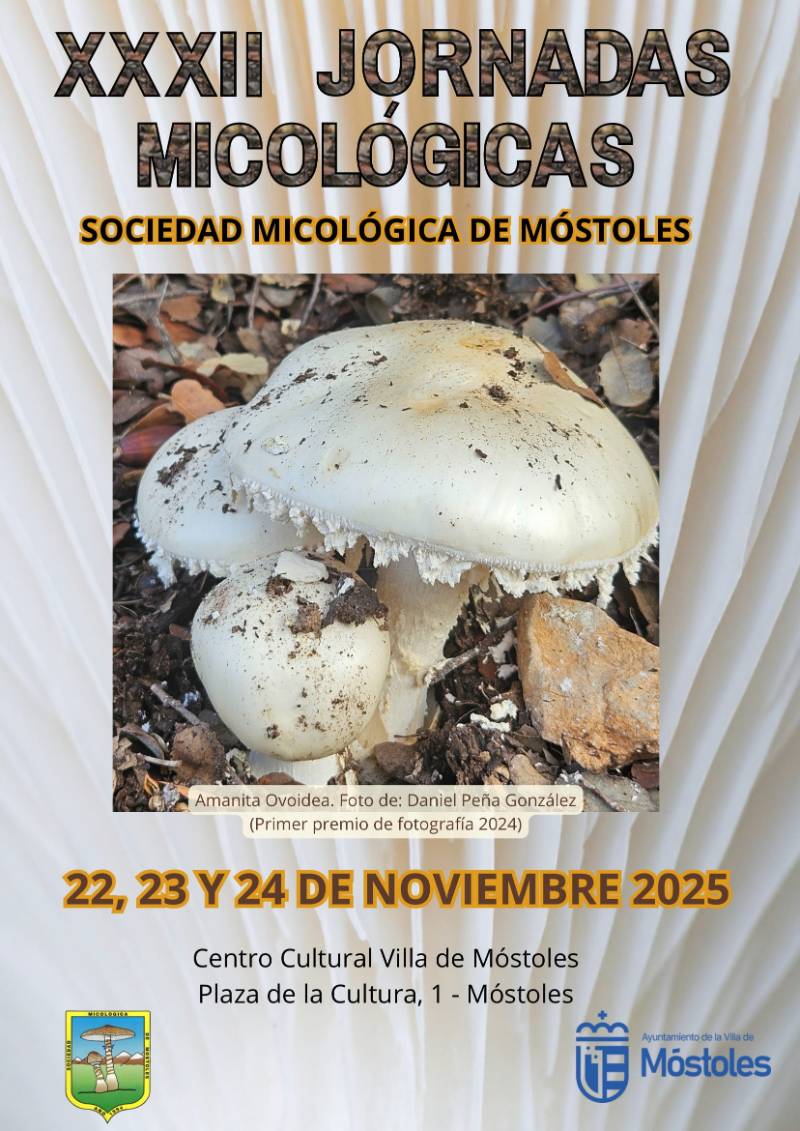 CARTEL XXXII JORNADAS MICOLOGICAS 2025-1