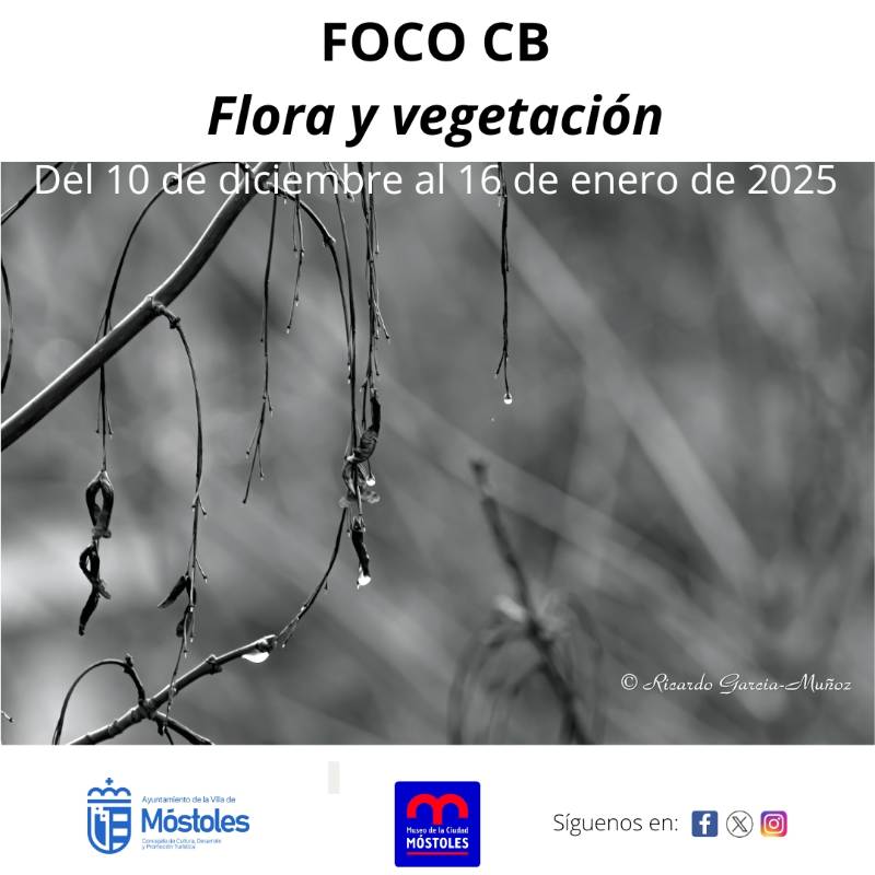 Expo Foco CB Museo diciembre 2024