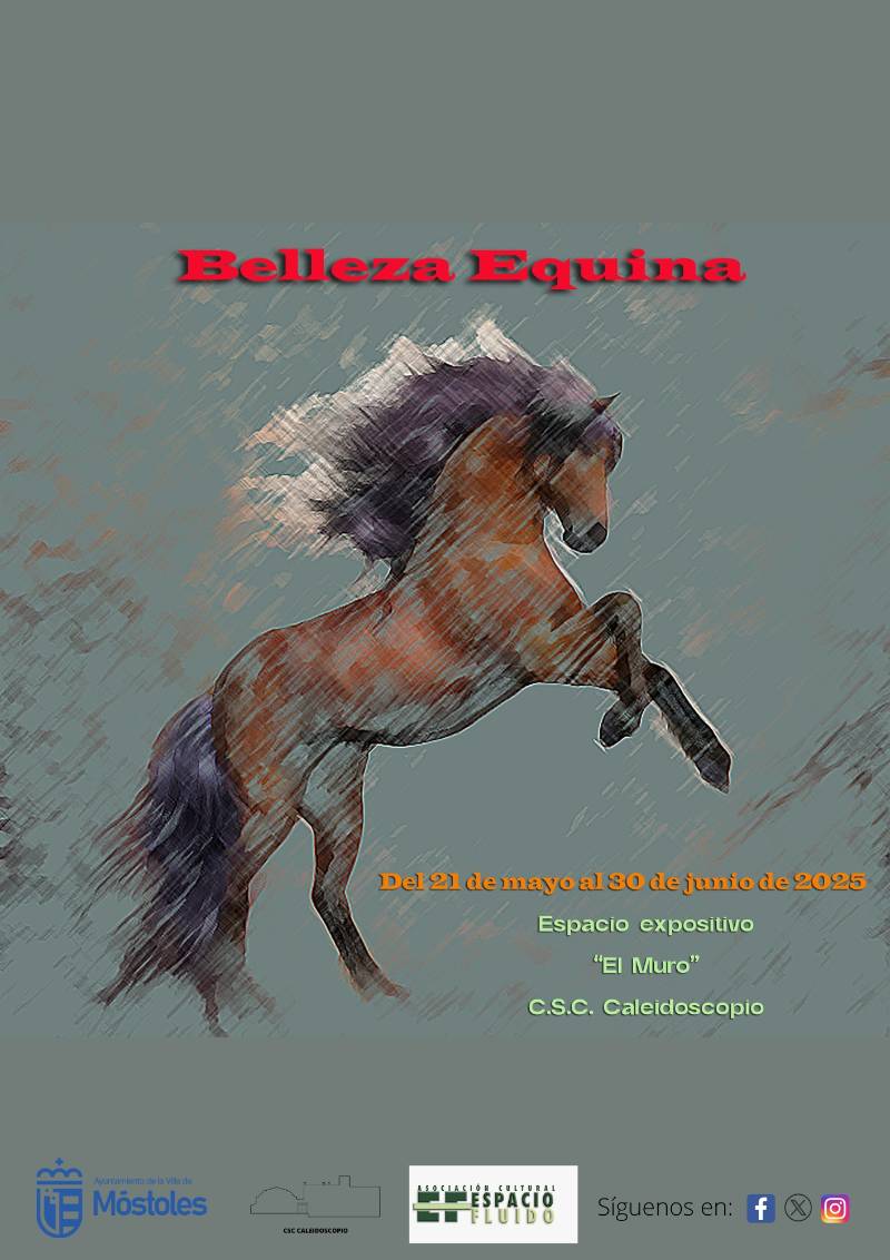 Exposición CSC CALEIDOSCOPIO