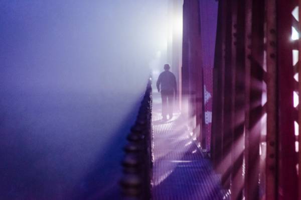 FOTO EXPO_Fotosíntesis_VILLA DE MÓSTOLES