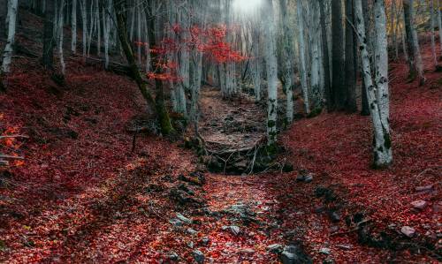 FOTO EXPOS._Miradas_VILLA