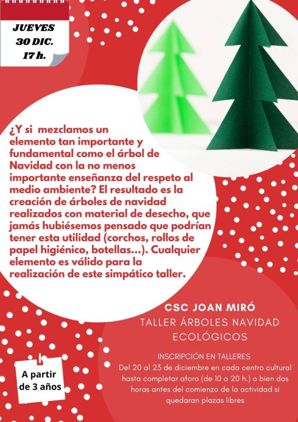 FOTO TALLER ÁRBOLES NAVIDAD ECOLÓGICOS_MIRÓ