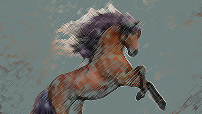 destacada Exposición Belleza equina en el Centro Sociocultural Caleidoscopio copia