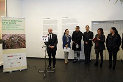 Premios Jóvenes Arco 2