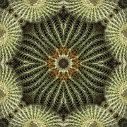 FOTO EXPOSICIÓN PACO FERNÁNDEZ SAURA. CALEIDOSCOPIO. C.NORTE-UNIVERSIDAD