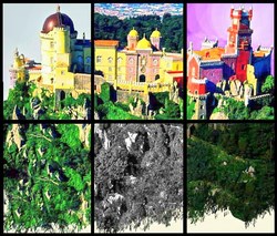 David viaje portugal