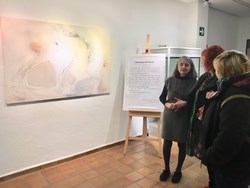 expo Rosa Lorenzo Estructura del paisaje 1