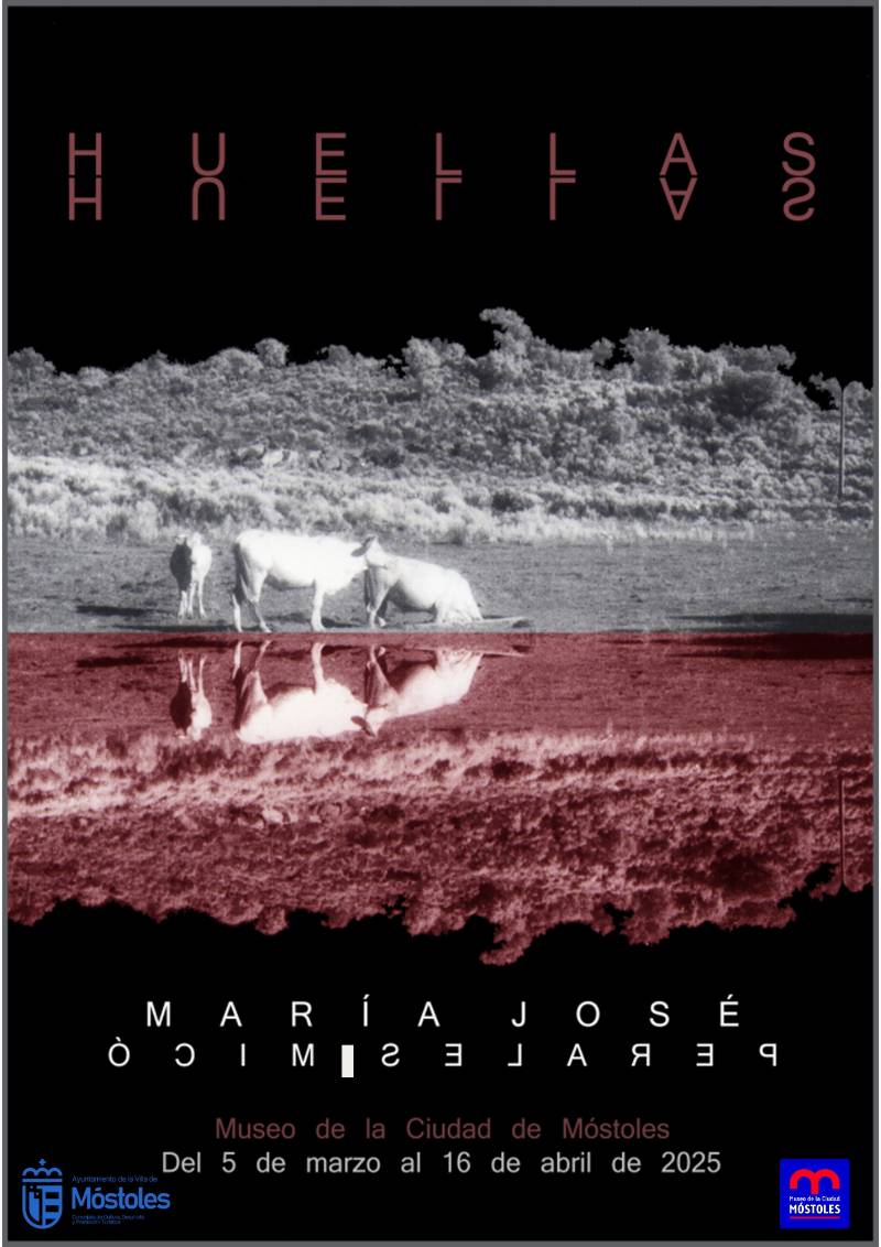 Expo María José Perales Micó Museo marzo 2025