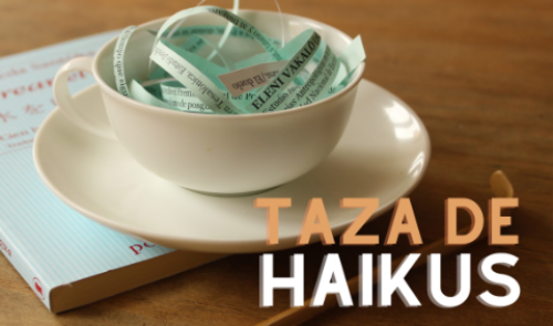 Charla taller_Taza de haikus