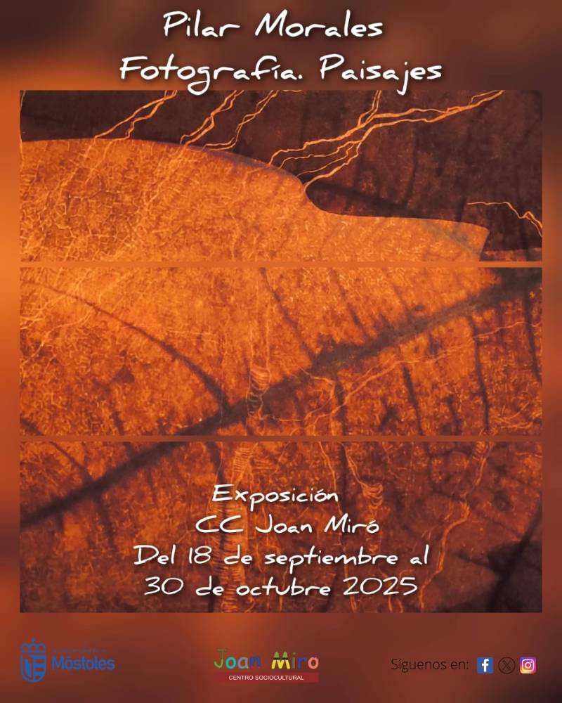 Tarjetón Pilar Morales