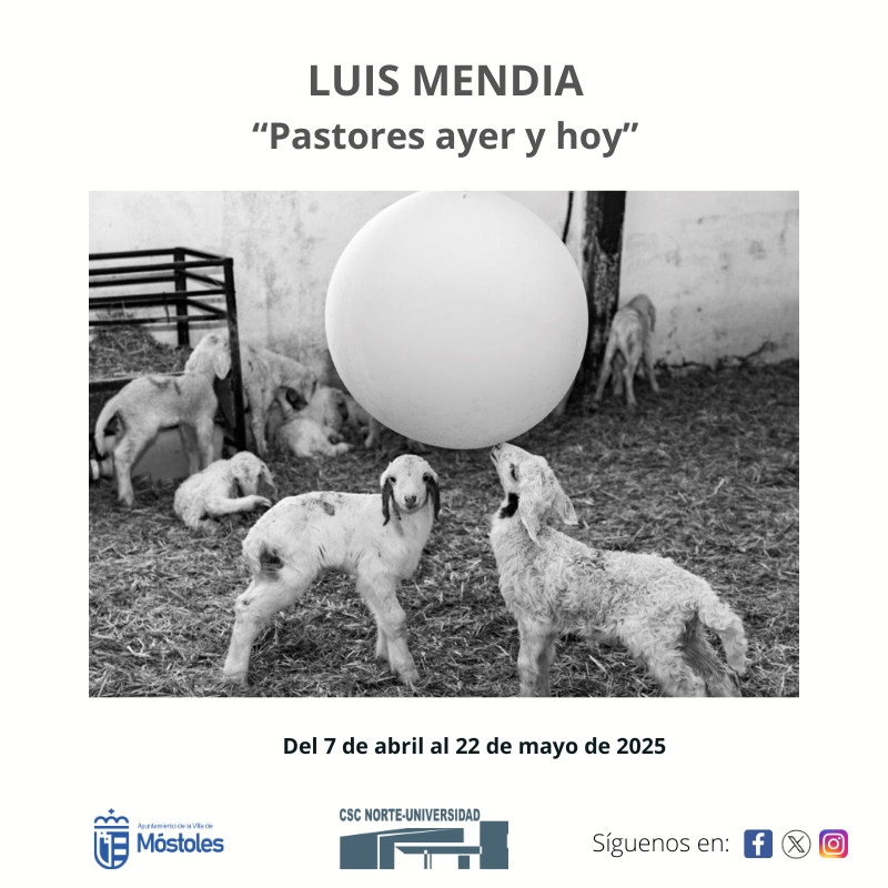 Tarjetón Luis Mendia