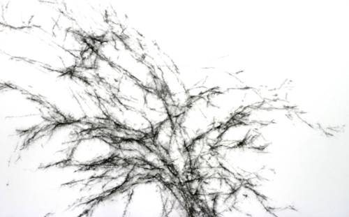 FOTO EXPO CHEVELURES_ olvidados III_MUSEO DE LA CIUDAD