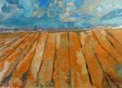 Tierra de labranza. Exposicion Juan Tanarro. Centro Norte copia