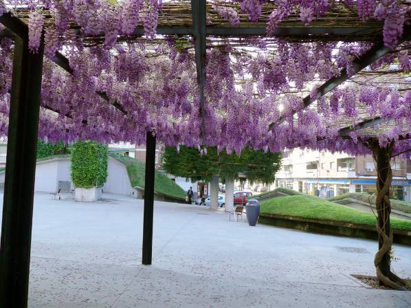 Teatro del Bosque .JPG
