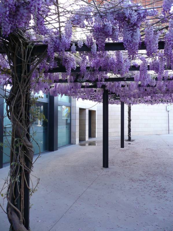 Teatro del Bosque .JPG