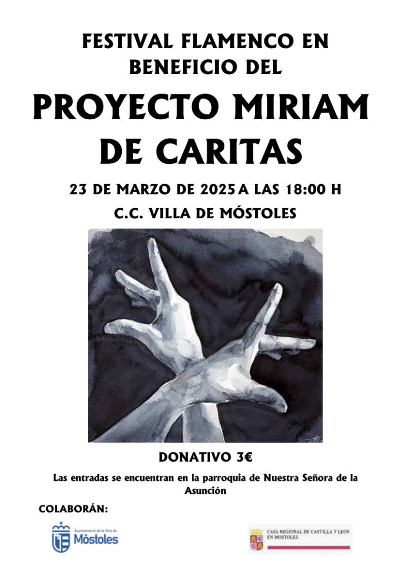 FESTIVAL FLAMENCO EN BENEFICIO DEL-1