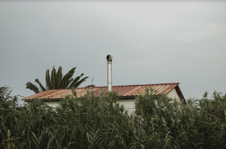 FOTO EXPO_IRIS ENCINA