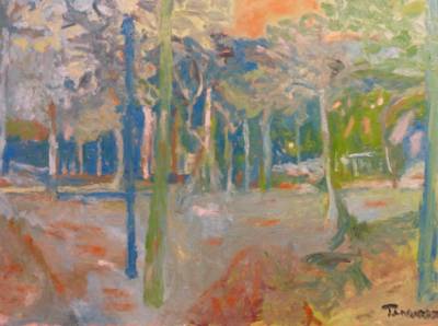 Parque Liana 1. Exposición Juan Tanarro.Centro Norte