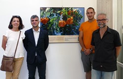 Exposición conoce tus árboles 1