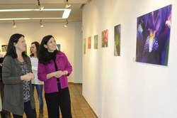 EXPO Detalles y Paisajes 3