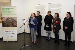 Premios Jóvenes Arco 3