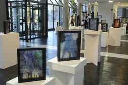 Visita Expo Vietnam Dualidad 3