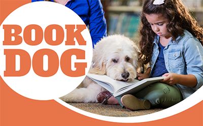 destacado cartel book dog copia