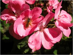 Expo Javier Benavides 3