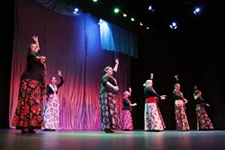 Festival Día Andalucía 5