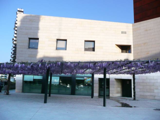 Teatro del Bosque .JPG