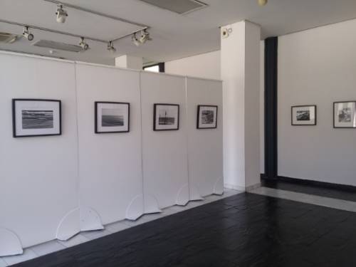 foto 4 taller fotografía