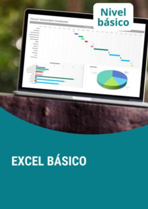 6 - Excel básico - noviembre MD
