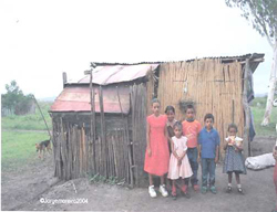 Viviendas e infraestructura básica para familias