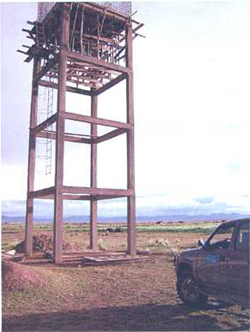 Apoyo a la introducción de agua potable domiciliaria a 254 familias