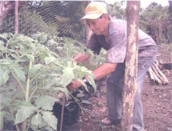 Huertos Familiar Comunidad Pedro Díaz