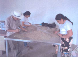 Productores de la Comunidad Pedro Díaz