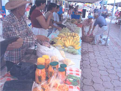 Producción de la zona participando en los días de Mercado