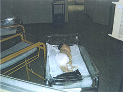 Mejora de Salud materno-neonatal