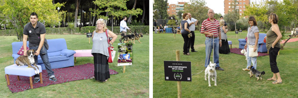 MÓSTOLEÑOS CON PEDIGRÍ