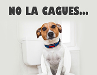 Campaña NO LA CAGES recoge sus cacas